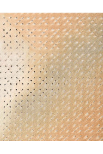 Pelle di cavallino... 2