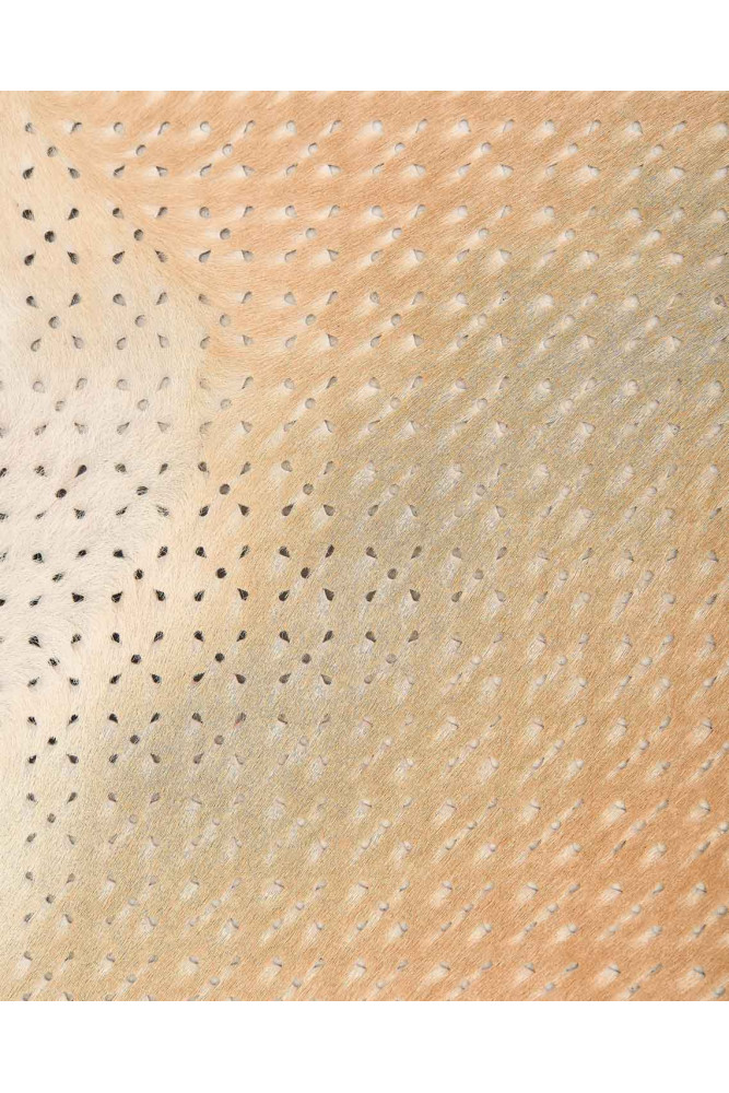 Beige PIERCED hair on leather hide,...