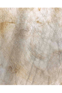 Pellame LAMINATO vintage... 2