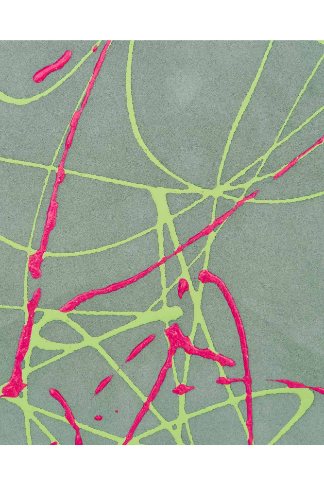 Pellami stampa SCHIZZO decorati a...