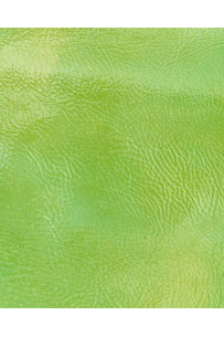 Green yellow glossy leather... 2