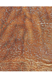 Pelle vintage marrone cuoio... 2