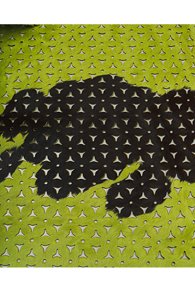 PIERCED hair on leather hide, cow...