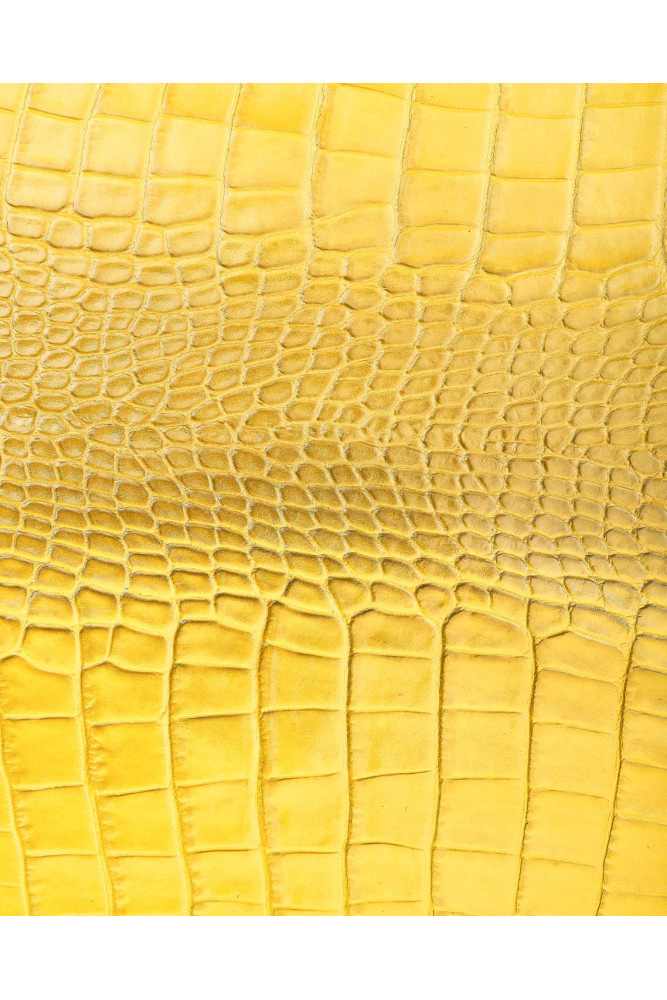 Pelle COCCODRILLO rosso giallo blu,...