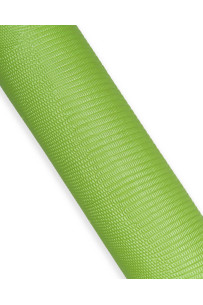 Green LIZARD leather hide,...