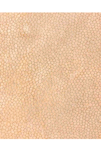 Rose gold REPTILE embossed... 2