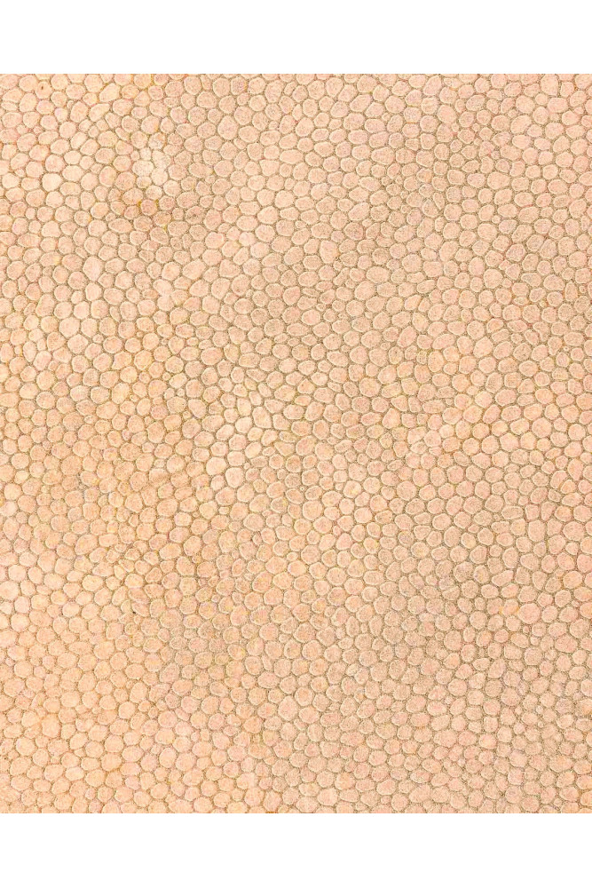 Pelle stampa RETTILE oro - rosa,...