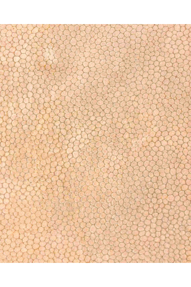 Pelle stampa RETTILE oro - rosa, vitello METALLIZZATO GLITTERATO champagne, pellame di lusso per hobbisti