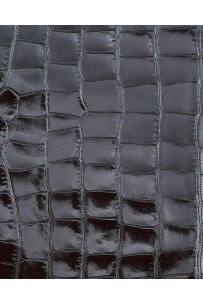 Pelle COCCODRILLO marrone... 2