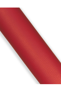 Pelle rossa stampa DOLLARO,...