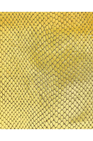 Gold PYTHON leather hide, GOLDEN metallic reptile printed cowhide, glossy snake textured calfskin