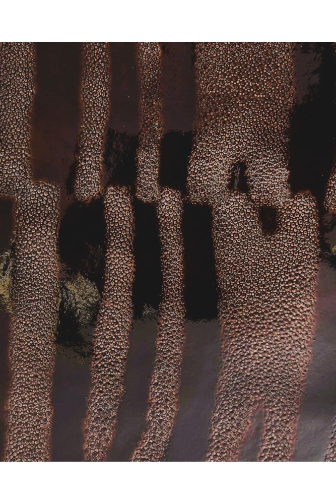 ZEBRA textured PATENT leather hide,...