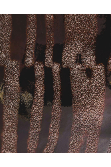 ZEBRA textured PATENT leather hide, brown ray embossed cowhide - maxi animal print - medium softness, elegant calfskin