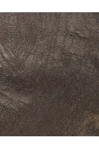 Pelle SPORTIVA marrone... 2