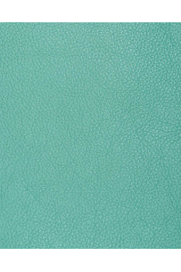 Pellame TURCHESE con GRANA... 2