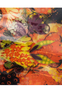 Pelle FLOREALE MULTICOLOR,... 2