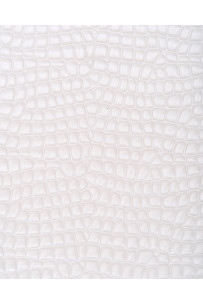 White GLOSSY CROCODILE... 2
