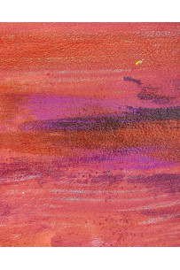 Pelle arancio - viola,... 2