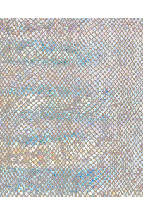 IRIDESCENT PYTHON leather... 2