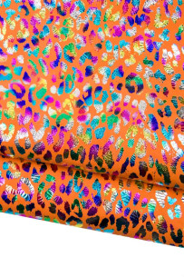 Holographic CHEETAH...