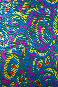 Pelle ZEBRATA iridescente... 2