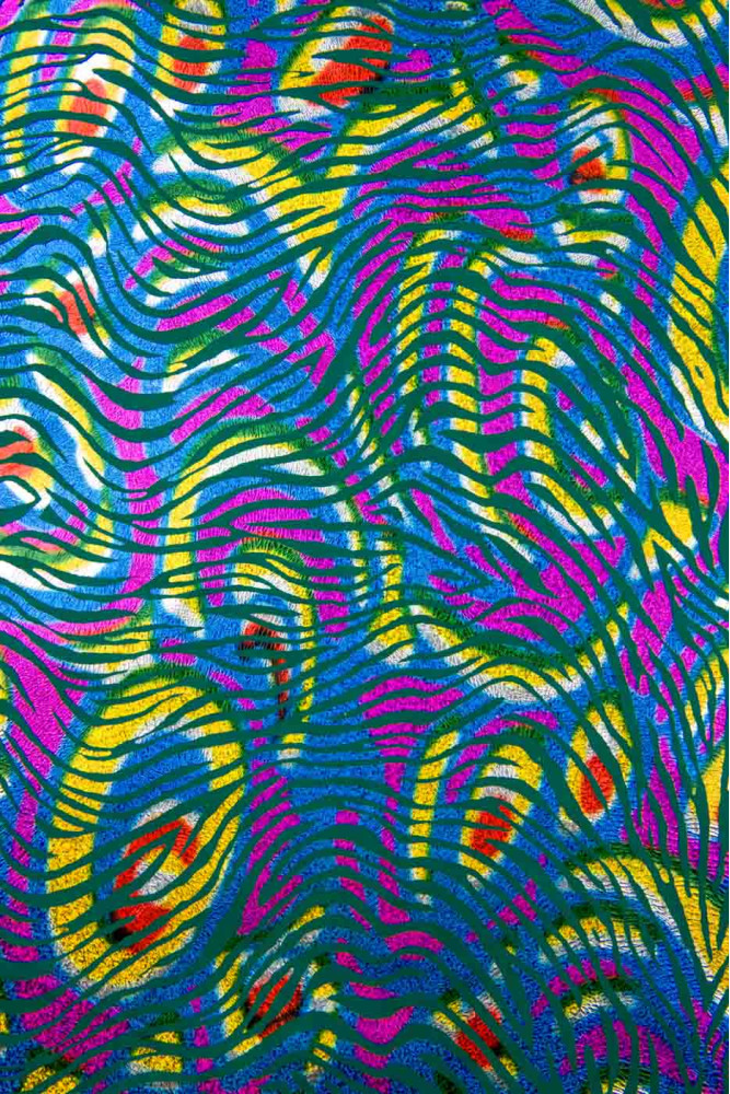 Pelle ZEBRATA iridescente MULTICOLOR,...