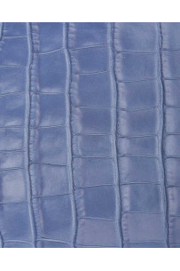 LIght blue CROCODILE... 2