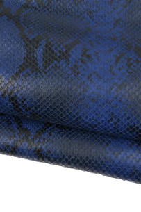 Blue - black PYTHON...