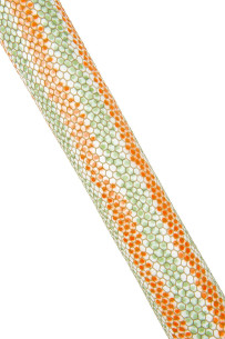 STRIPED printed REPTILE... 2