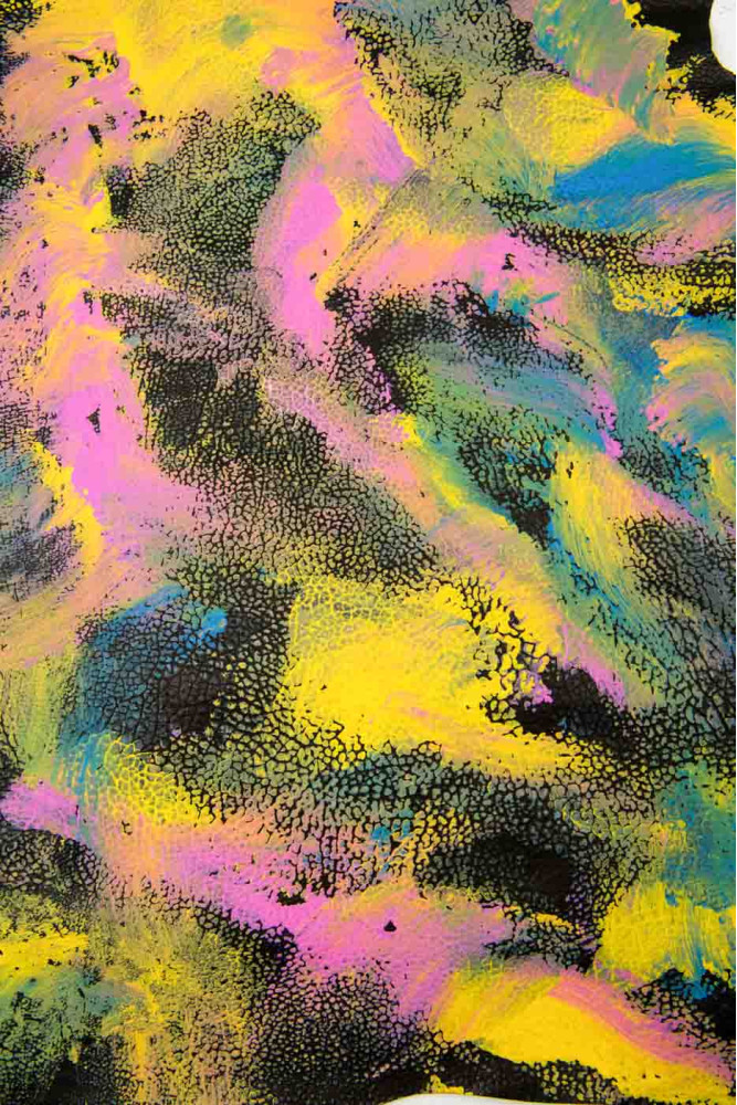 Multicolor HANDPAINTED leather skin,...