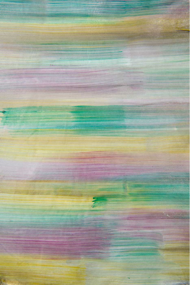 Pelle a RIGHE multicolor DIPINTA A...