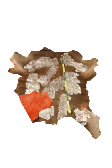Brown hair on leather hide with light gold METALLIC spots, SPOTTED pony calfskin, selected Italian cowhide