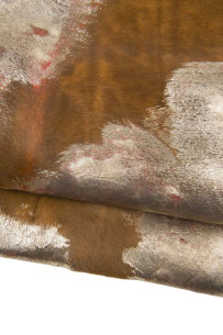 CAVALLINO marrone stampa a...