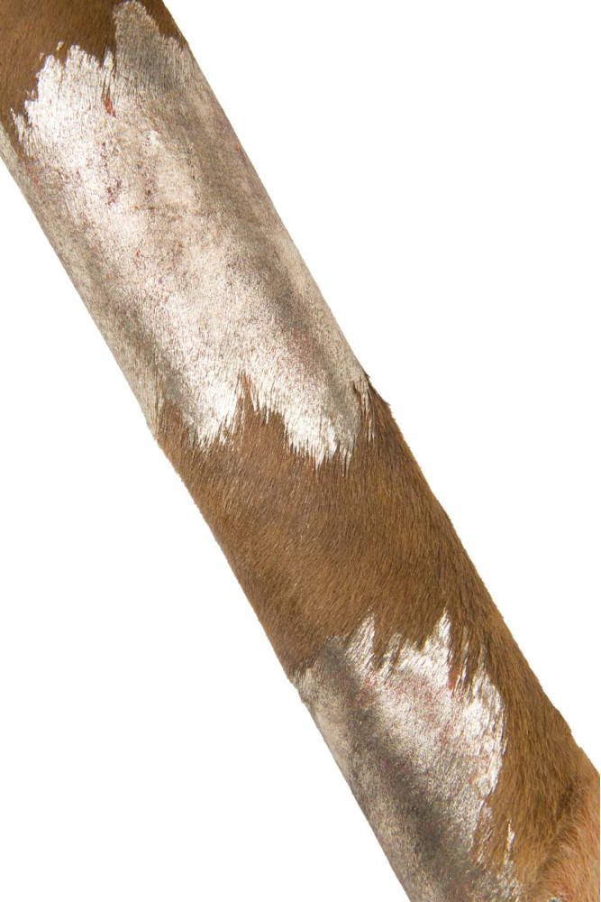 CAVALLINO marrone stampa a macchie...