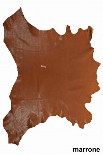 Brown SPORTY baby calf, tan... 2