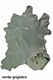 Greyish green leather skin,... 2