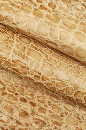 Pelle COCCODRILLO beige, vitello...