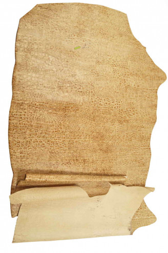Pelle COCCODRILLO beige, vitello...