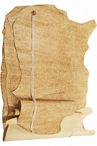 Pelle COCCODRILLO beige, vitello...