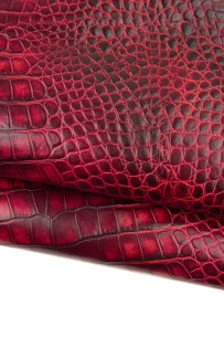 Pellame stampa COCCODRILLO...