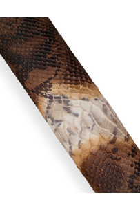 Back cut PYTHON printed... 2