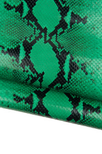 Green - black PYTHON...