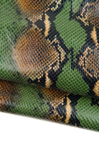 Green brown black PYTHON...