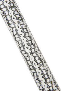 REPTILE printed leather... 2