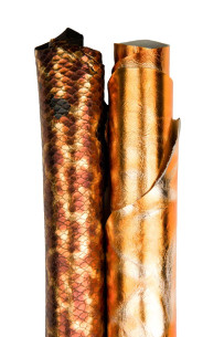 Bundle of 2 orange and...