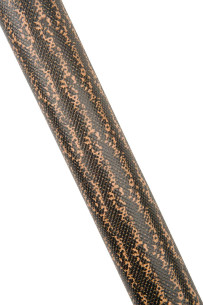 Brown and tan REPTILE... 2